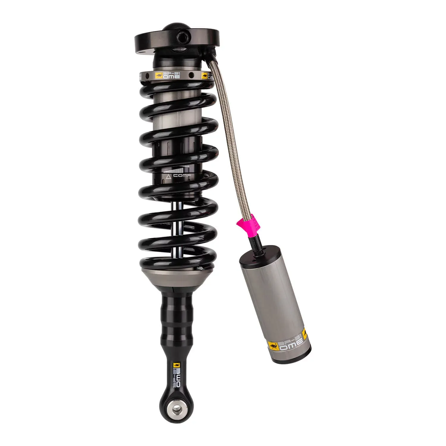 BP5190006R_v1.jpg